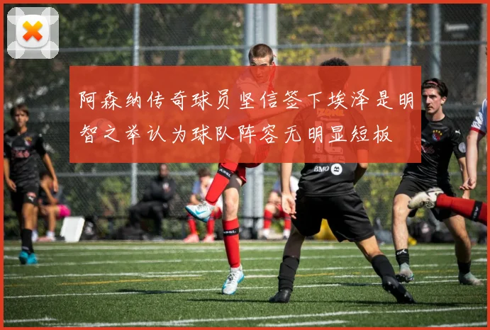 阿森纳传奇球员坚信签下埃泽是明智之举认为球队阵容无明显短板
