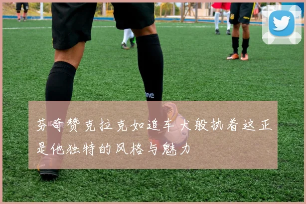 芬奇赞克拉克如追车犬般执着这正是他独特的风格与魅力