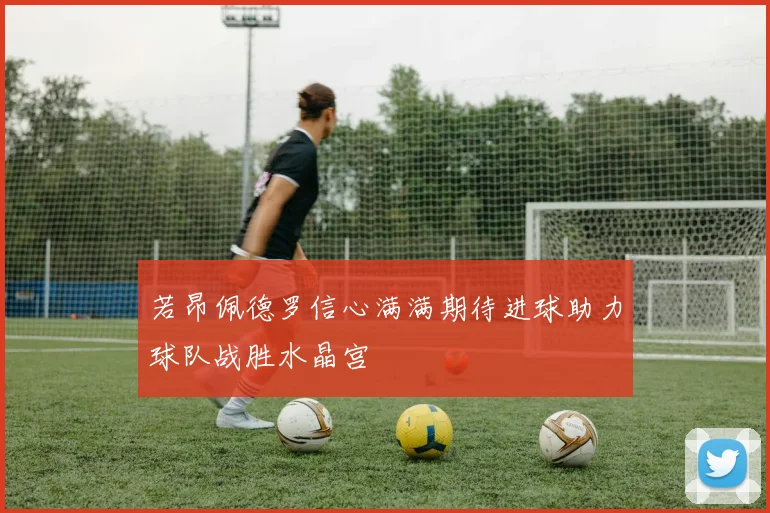 若昂佩德罗信心满满期待进球助力球队战胜水晶宫