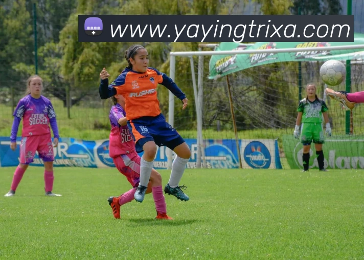 App Interface Preview