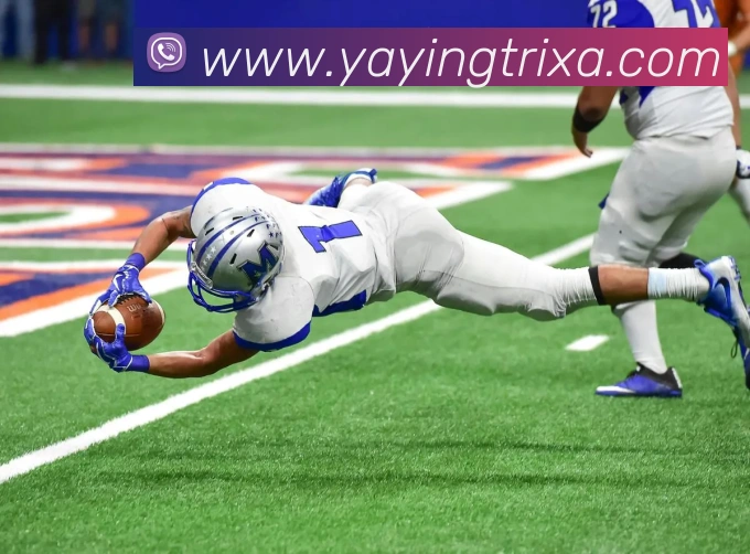 亚英体育APP 封面图